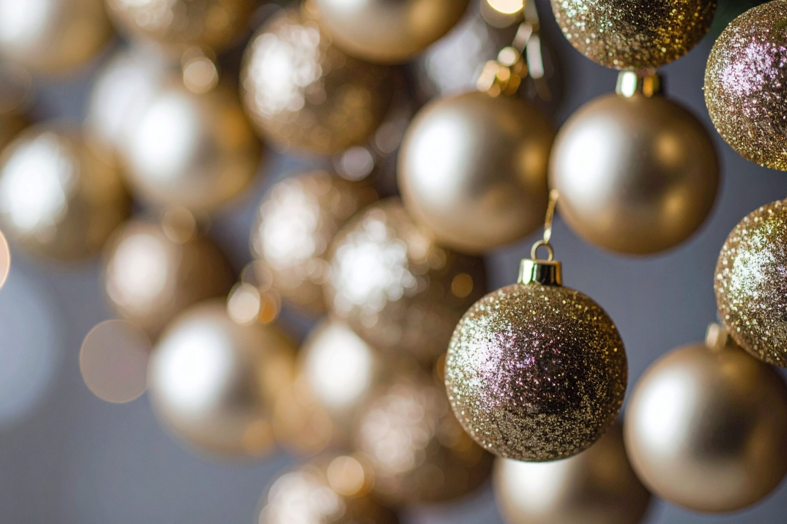 Susann Gercken - über mich